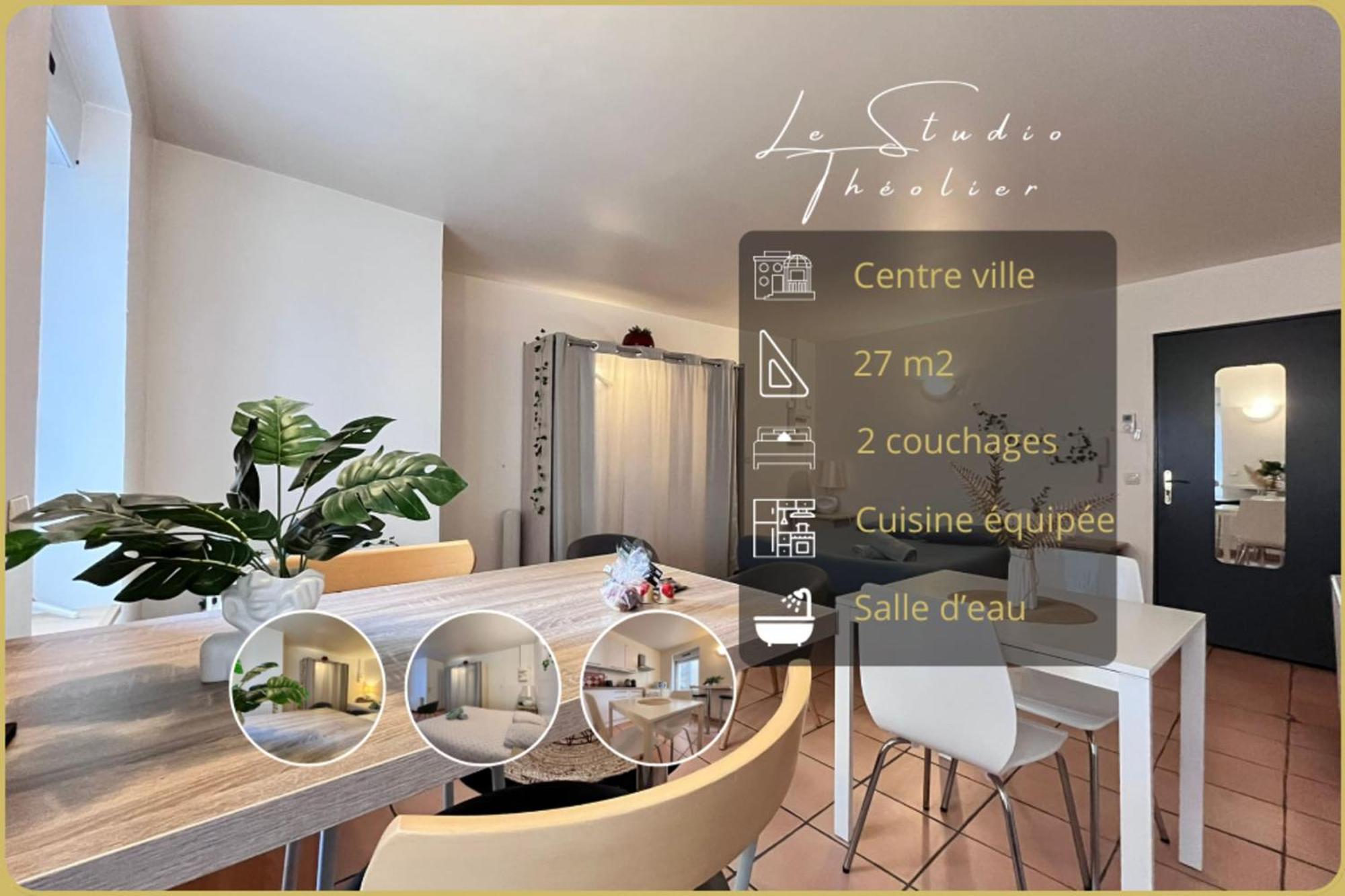 Le Studio Theolier Downtown - Close To Pedestrian Street Турнон-сюр-Рон Экстерьер фото