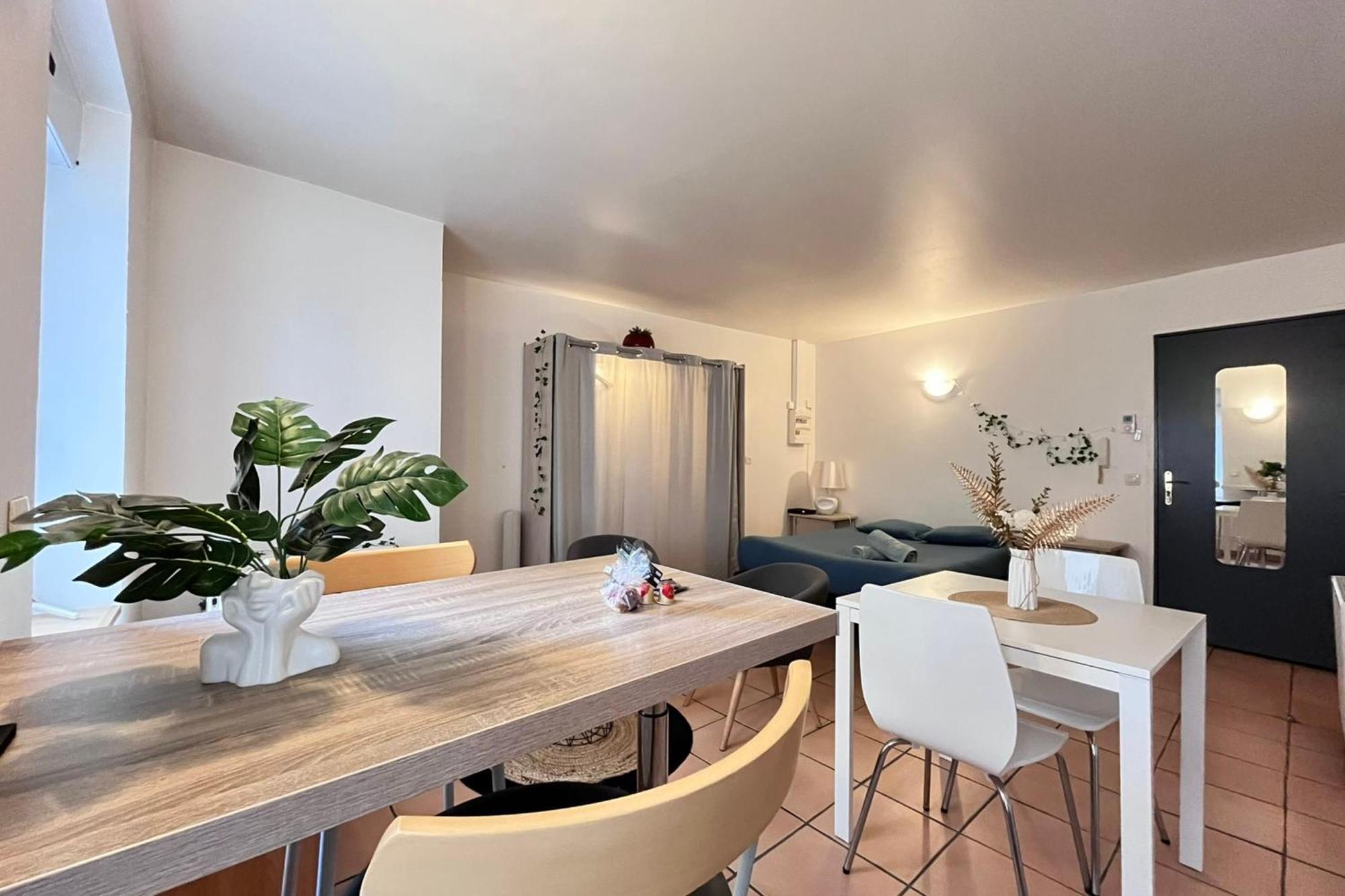 Le Studio Theolier Downtown - Close To Pedestrian Street Турнон-сюр-Рон Экстерьер фото