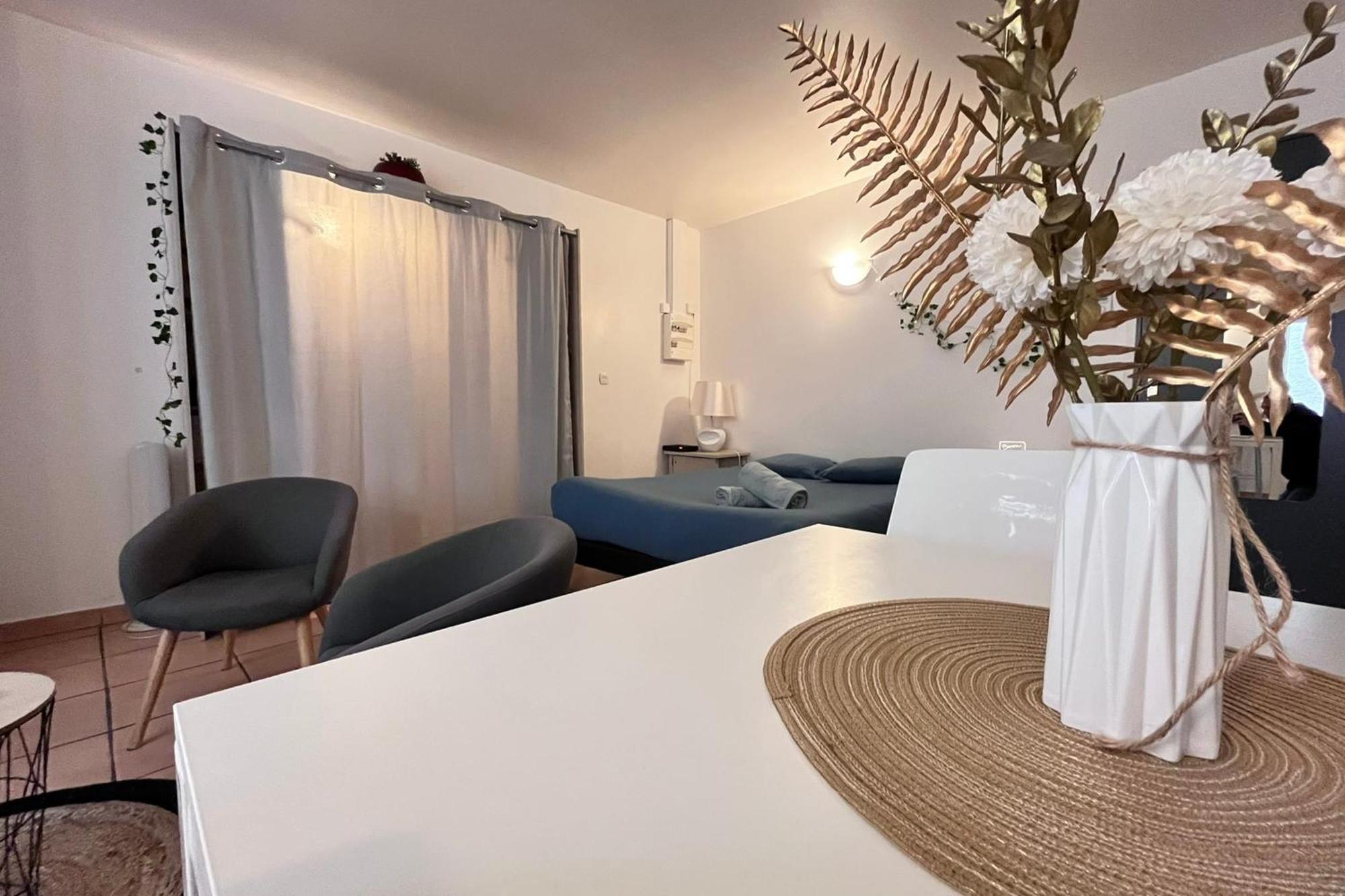Le Studio Theolier Downtown - Close To Pedestrian Street Турнон-сюр-Рон Экстерьер фото