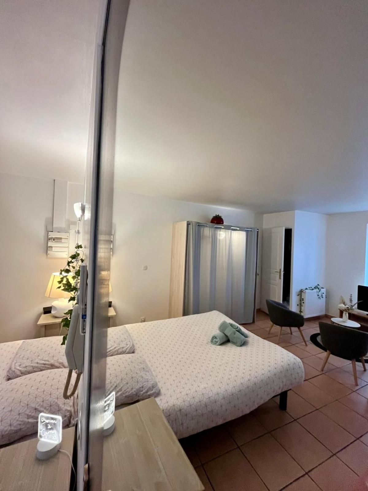 Le Studio Theolier Downtown - Close To Pedestrian Street Турнон-сюр-Рон Экстерьер фото