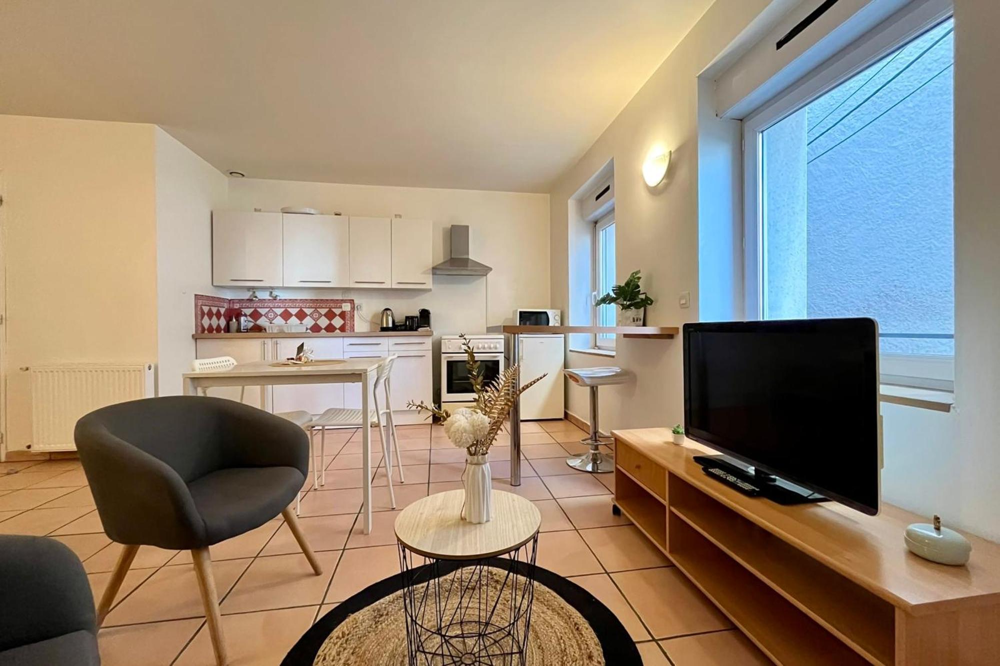 Le Studio Theolier Downtown - Close To Pedestrian Street Турнон-сюр-Рон Экстерьер фото