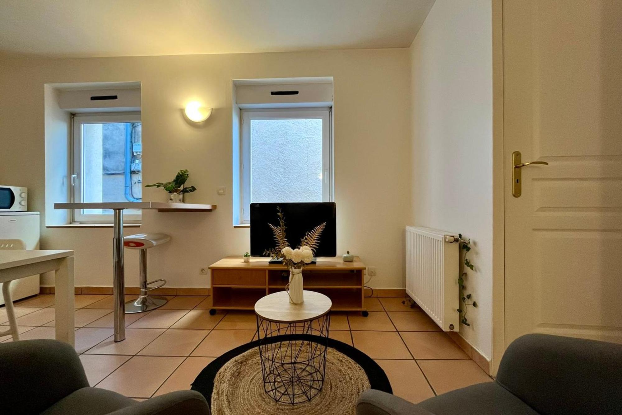 Le Studio Theolier Downtown - Close To Pedestrian Street Турнон-сюр-Рон Экстерьер фото