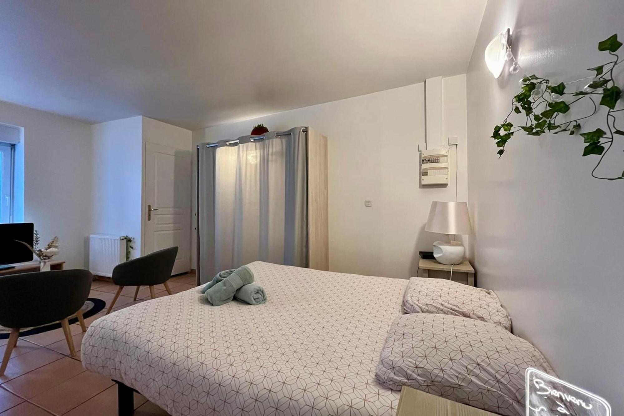 Le Studio Theolier Downtown - Close To Pedestrian Street Турнон-сюр-Рон Экстерьер фото