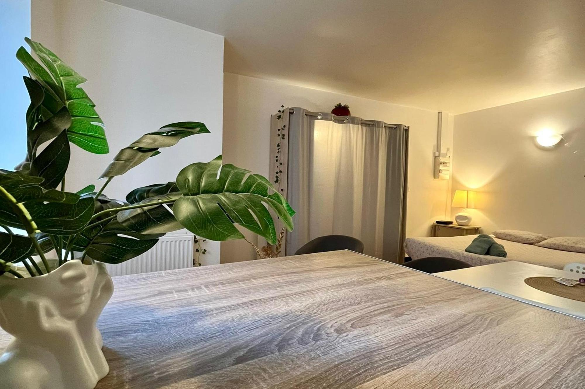 Le Studio Theolier Downtown - Close To Pedestrian Street Турнон-сюр-Рон Экстерьер фото