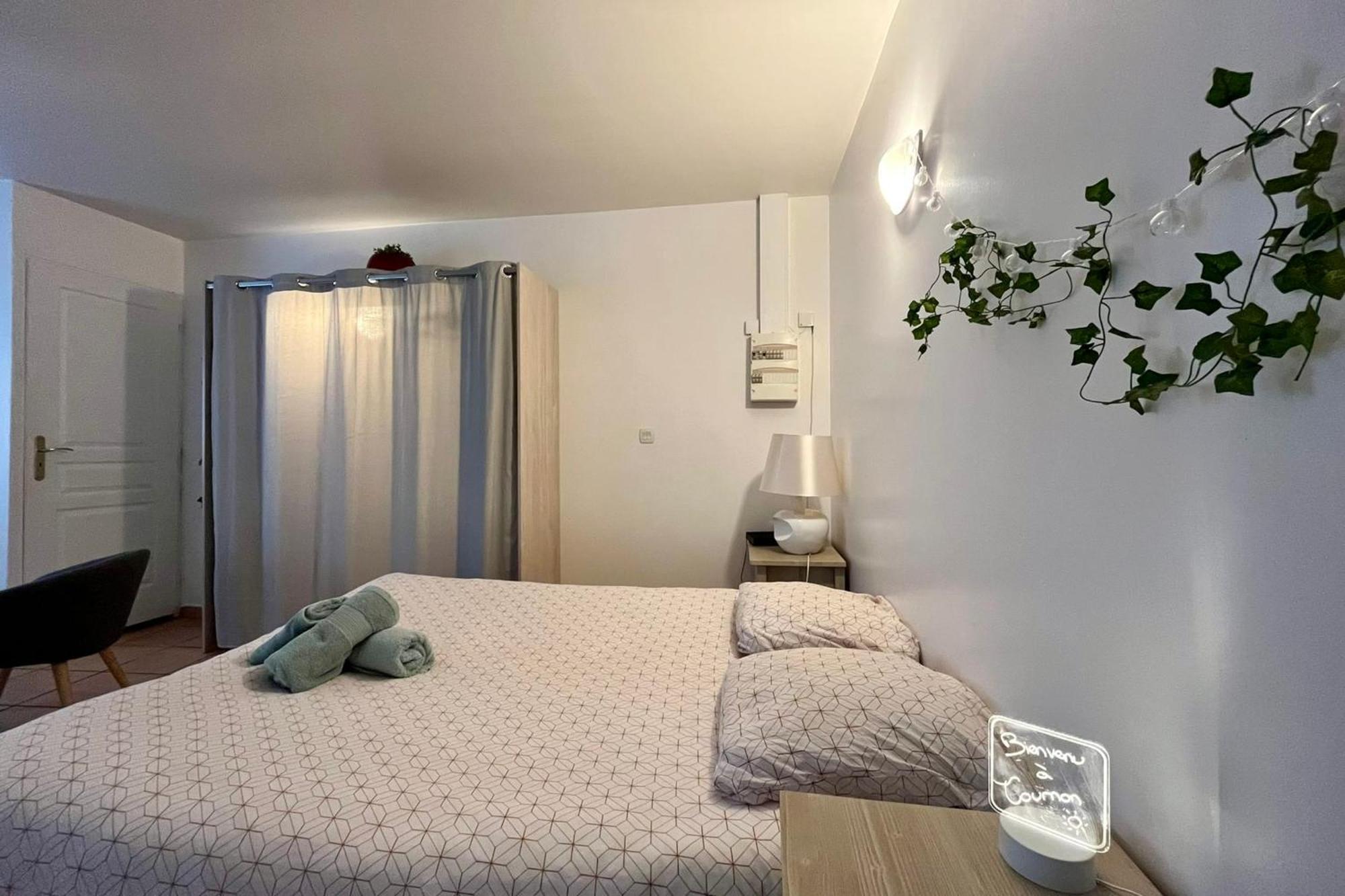 Le Studio Theolier Downtown - Close To Pedestrian Street Турнон-сюр-Рон Экстерьер фото